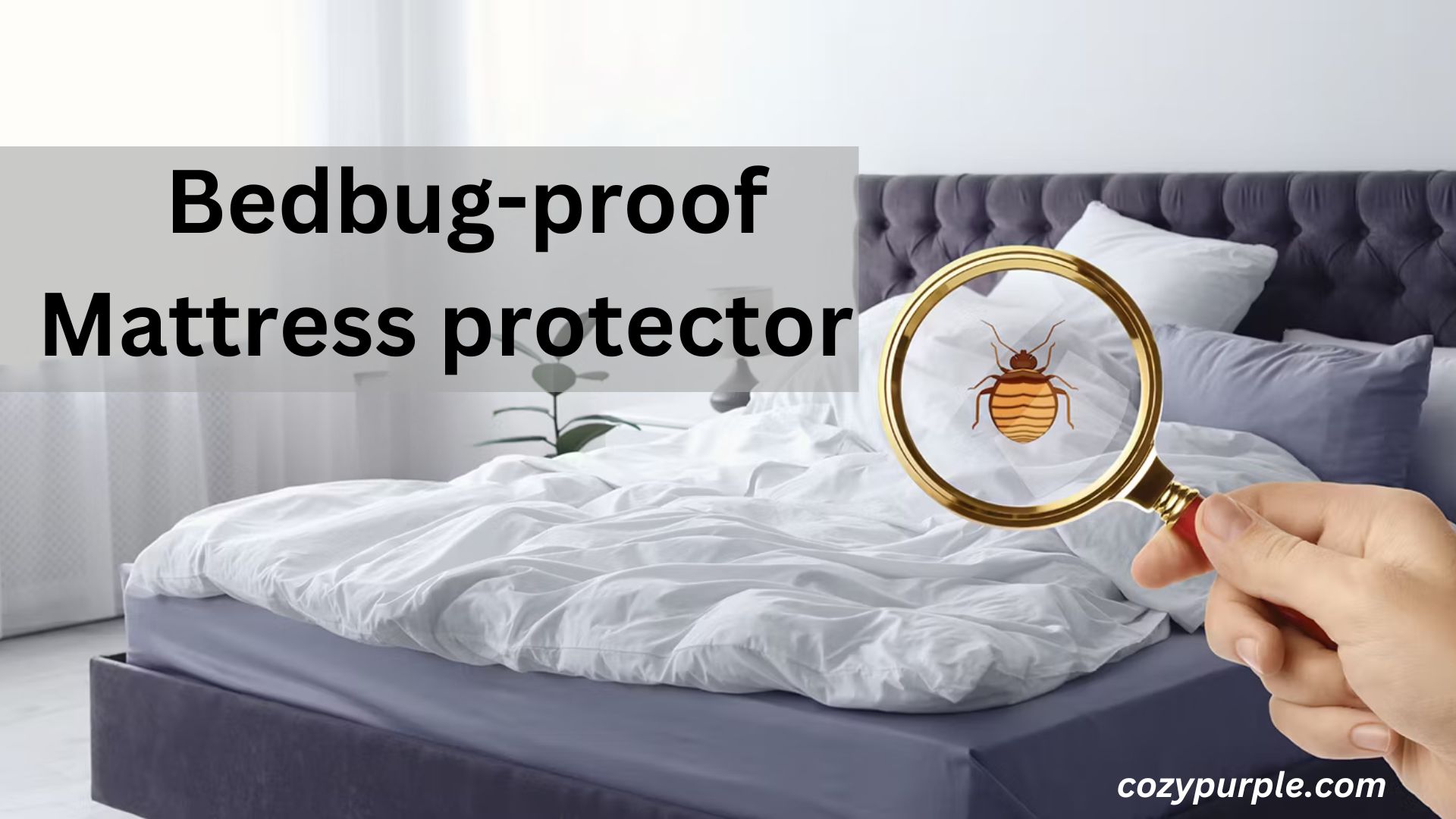 Will a mattress protector stop bed bugs?