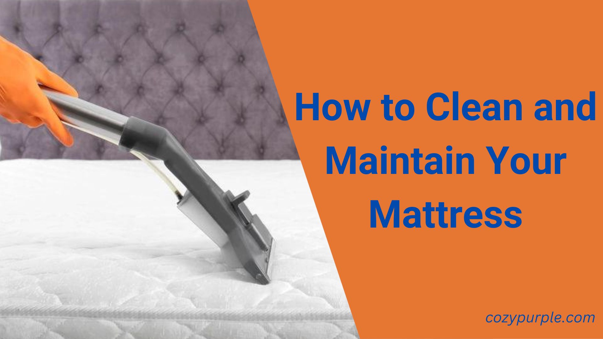 How to Clean and Maintain Your Mattress